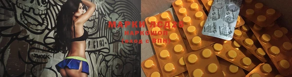 гидропоника Зеленокумск