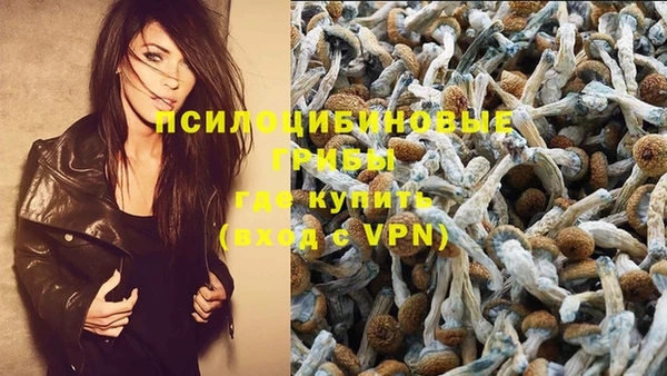 стафф Зеленодольск