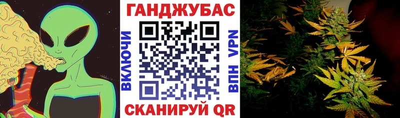как найти   маркетплейс клад  Канабис планчик  Западная Двина 
